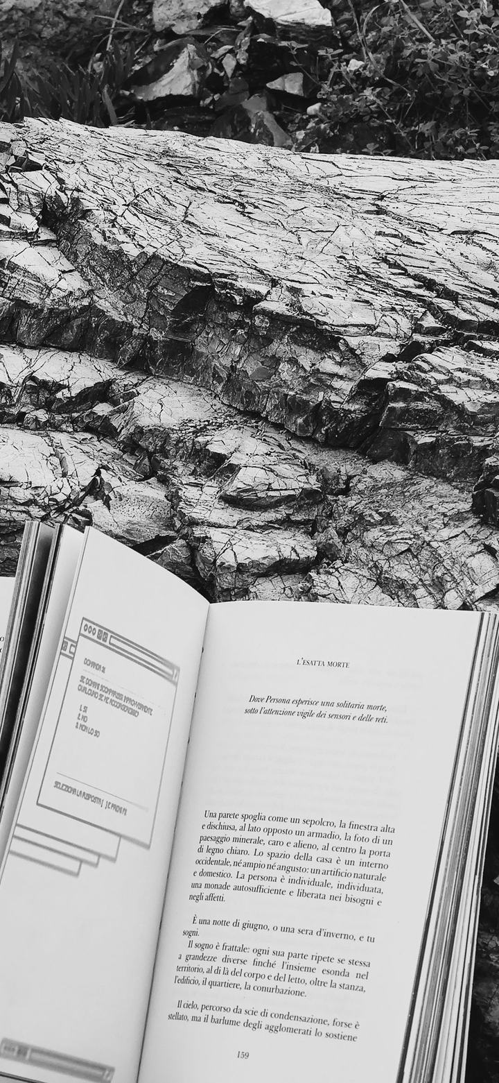 PERSONA, il libro tra le rocce — foto 5