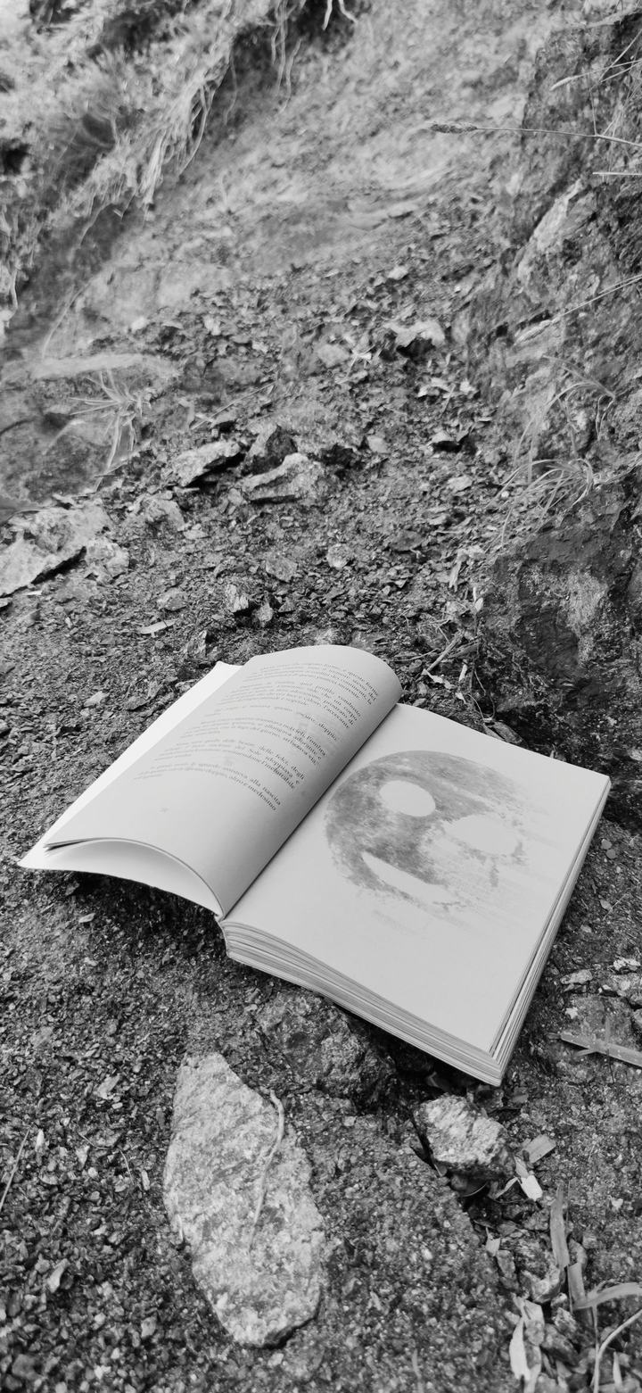PERSONA, il libro tra le rocce — foto 4