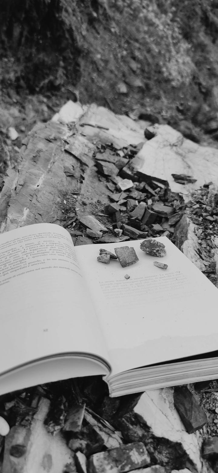 PERSONA, il libro tra le rocce — foto 3