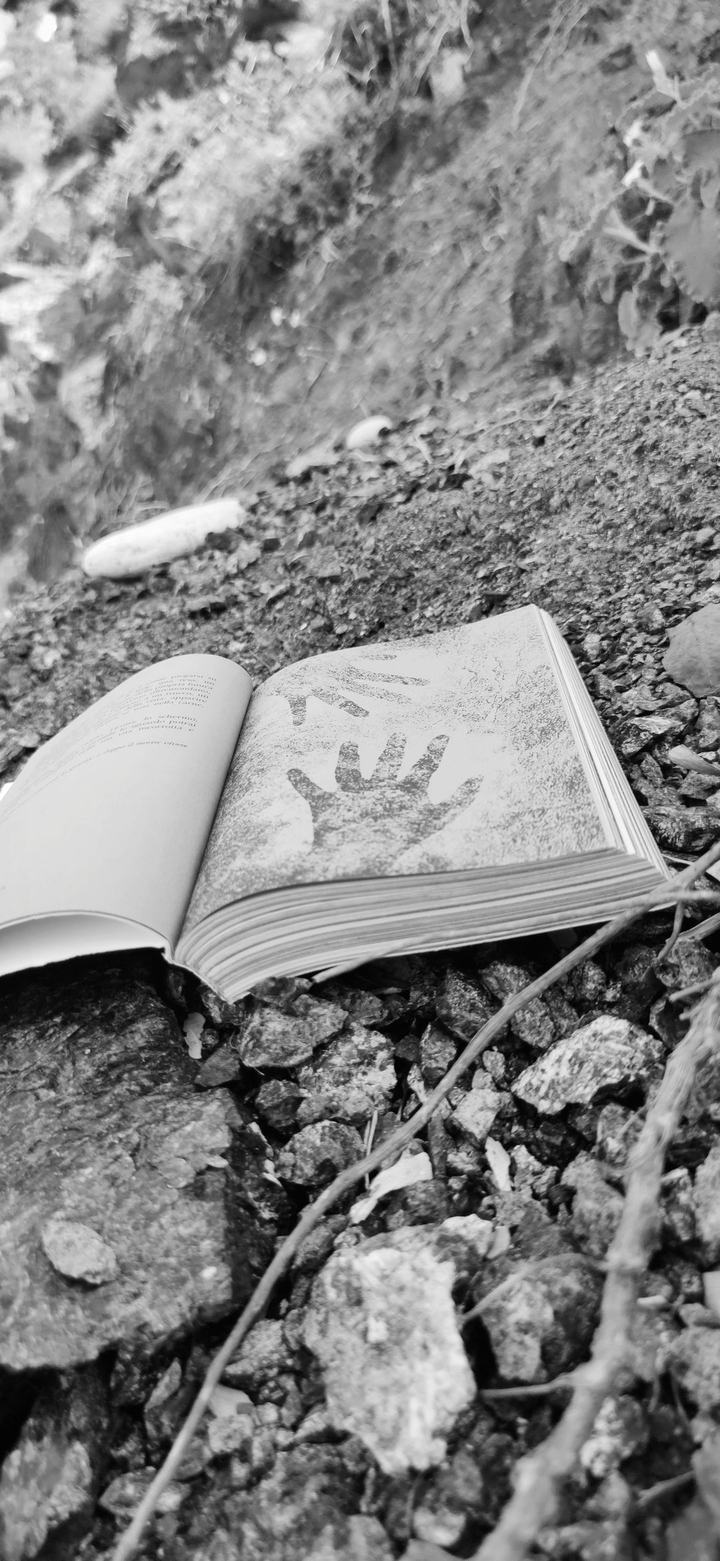 PERSONA, il libro tra le rocce — foto 2